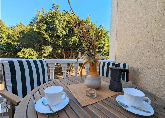 R-41 Alboran Torrevieja